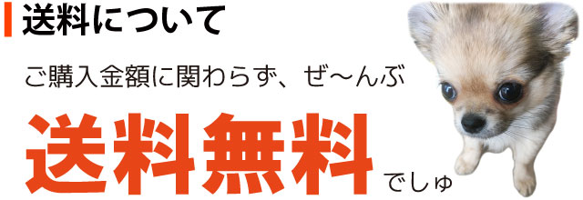 送料についての説明画像