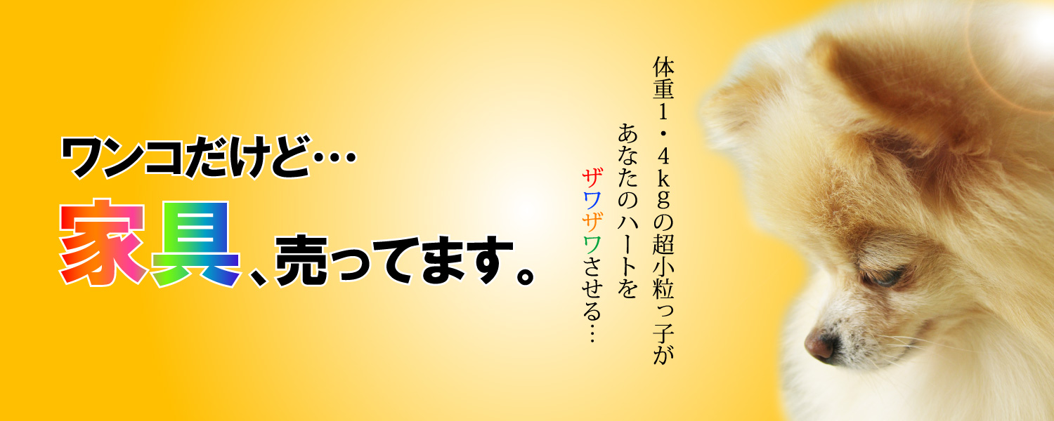 しずく店長の家具屋さん・ブランドテーマ