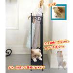 横のラインアートもお洒落