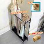 ファミリーにもおすすめ