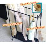 空間がたっぷりある傘たて