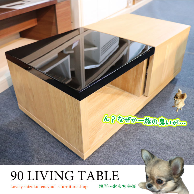 TA-2551 幅90cm高級感抜群!収納付きリビングテーブル