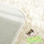 裏面にはすべり止めが付いている