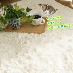 クッション性があって気持ちいー