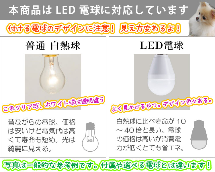 白熱球とLED電球の選び方