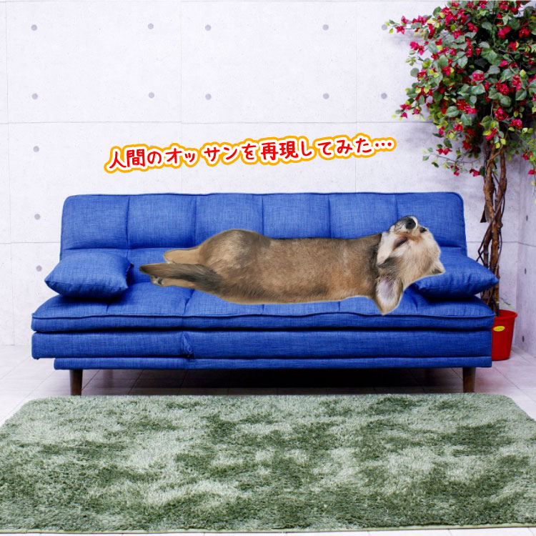カジュアルな布製ソファーベッド｜幅183cmブルー青色・SF-3856