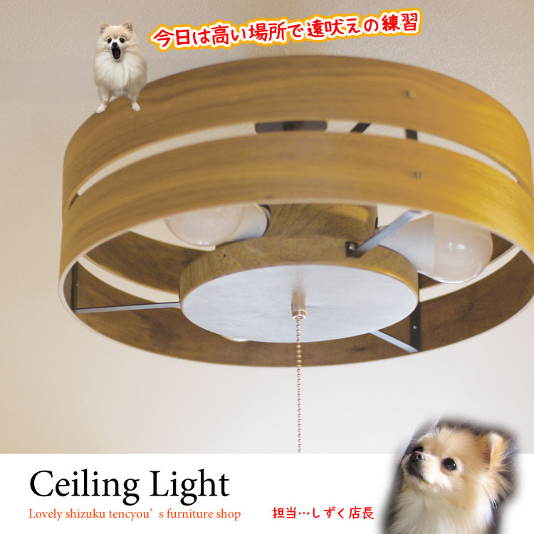 LT-4608 LED付き天然木製の3灯シーリングライト