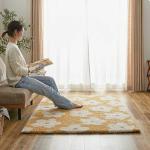 ワンコが走り回っても大丈夫