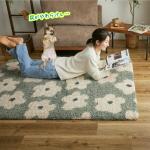 座ってもゴロゴロ寝転んでも充分な広さ