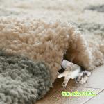 長さ25mmのパイル