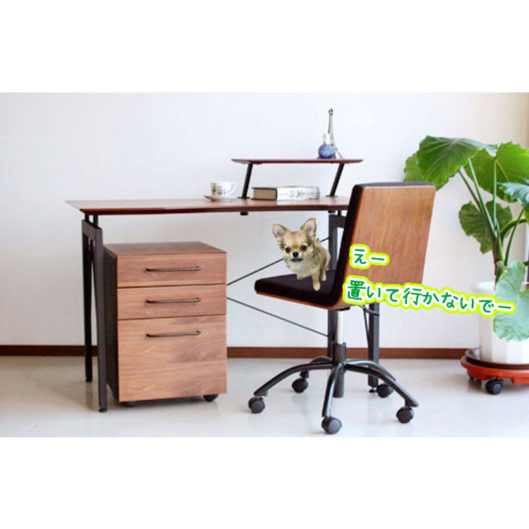 天然木ウォールナット製パソコンデスク｜120cmブラウンDE-1567