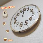 手動で時間を調節しなくていい電波時計