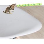 ブルーの座面拡大