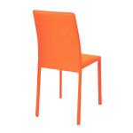 オレンジの背面画像